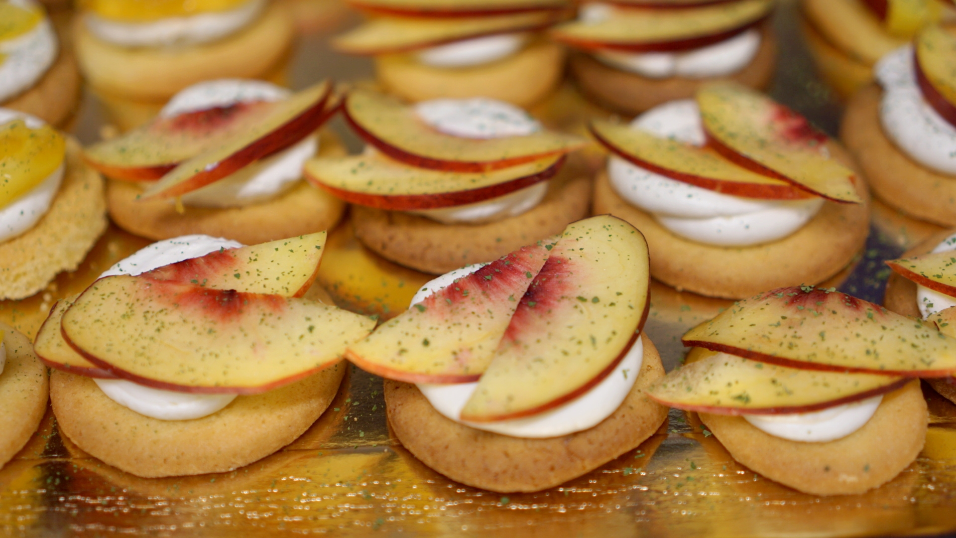 trateur_vegetarien_saison